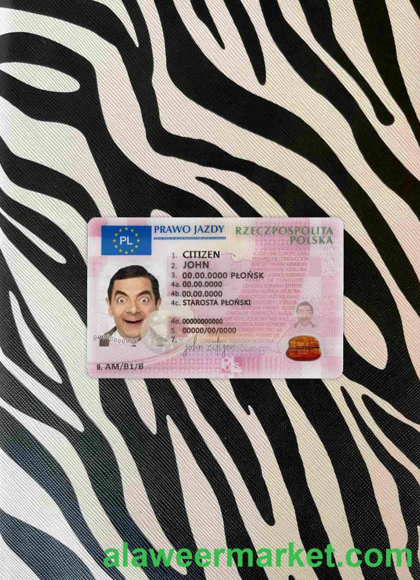 Poland DL 2019 - present photolook FRONT